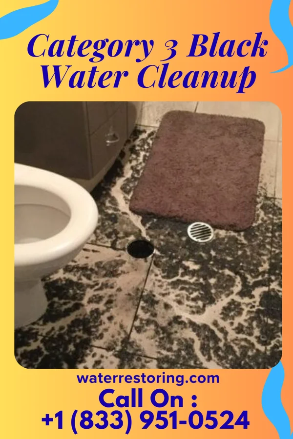 Category 3 Black Water Cleanup in Old Brownsboro Place, KY