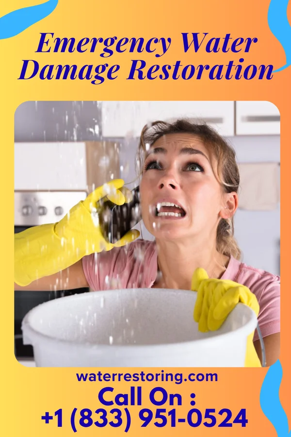 Emergency Water Damage Restoration in Old Brownsboro Place, KY