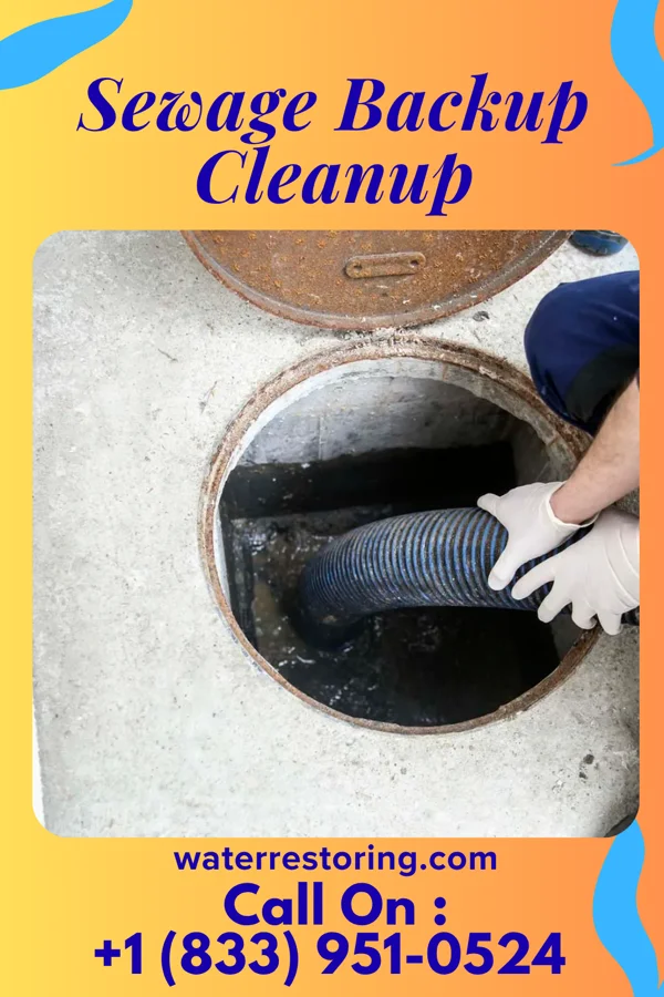 Sewage Backup Cleanup in Old Brownsboro Place, KY